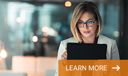 Understanding Business Assets - Glossary