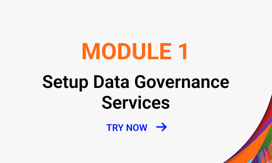 Activate Data Governance Services