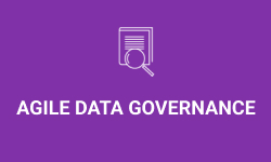Agile Data Governance Demo