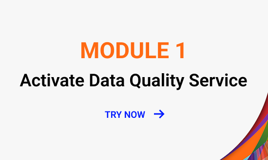 Activate Data Quality Service