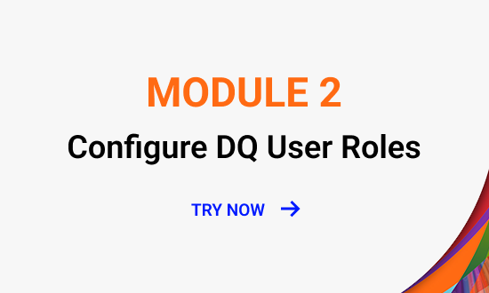 Configure DQ User Roles