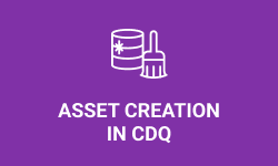 Asset Creation in CDQ