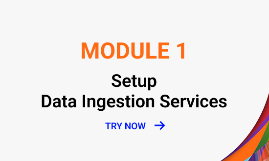 Activate Data Ingestion Services